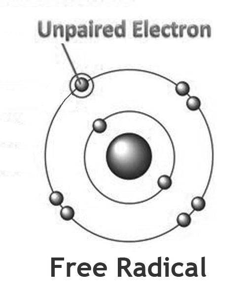 ebook low voltage electron microscopy principles